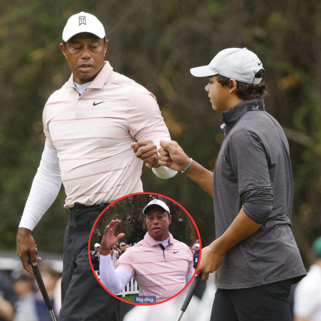 Cover Image for Tiger Woods ‘Big Dog’ meme sends the internet into meltdown as fans hilariously joke about the moment golf’s biggest star greets a caddie at PNC Championship last week